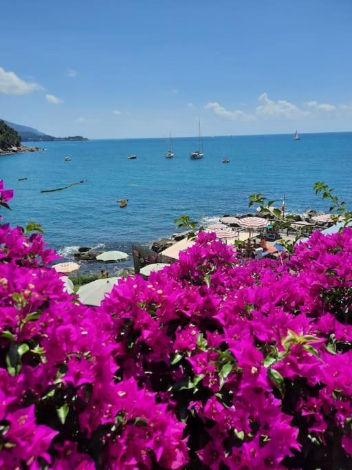 PitelliLa Terrazza Sul Golfo Dei Poeti Con Vista Mare公寓 外观 照片